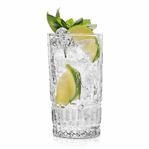 Gin Tonic